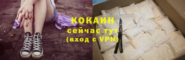 дмт Вяземский
