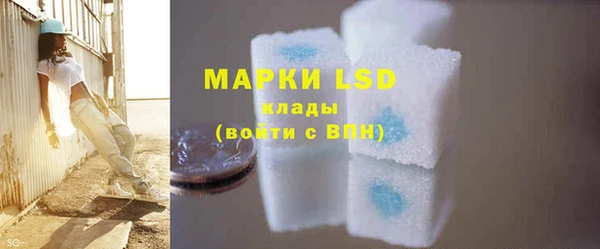 дмт Вяземский