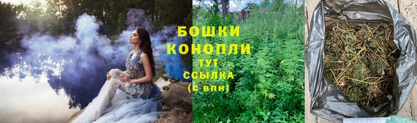 молекула духа Вязники